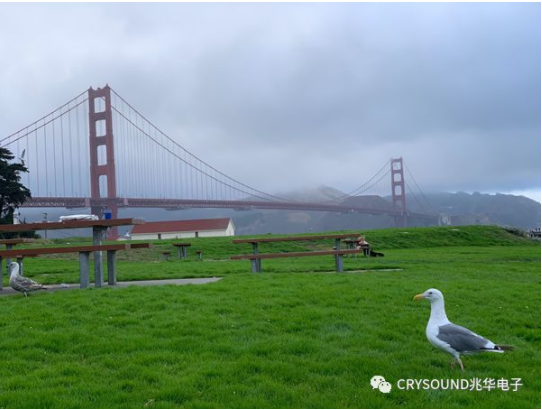 1573548876823462ZRGW.png image.png